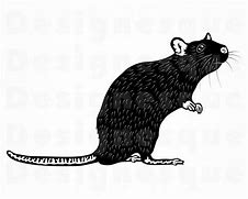 Image result for Rat Hanging SVG