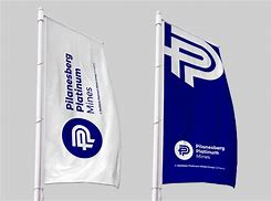 Image result for Digital PPM Logo