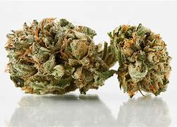 Image result for Kush Marijuana