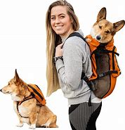 Image result for Corgi Mini Backpack