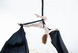 Image result for Circus Artist