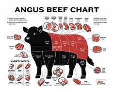 Image result for Angus Beef Cow