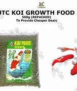 Image result for Koi Makan Sayur