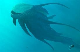 Image result for Subnautica Sea Monsters