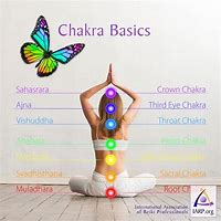 Image result for 1st Chakra