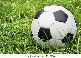 Image result for Socr Boll