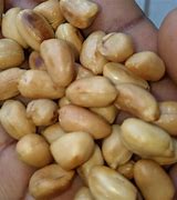 Image result for Raw Peanuts 30 Lb