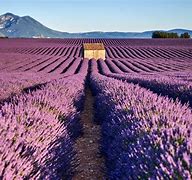 Image result for France Road Trip Itinerary