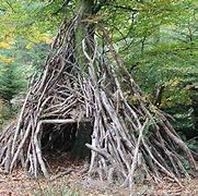 Image result for Survival Shelter Building