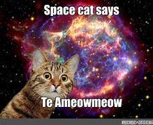 Image result for Space Cat Meme