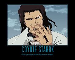 Image result for Coyote Starrk and Lilynette