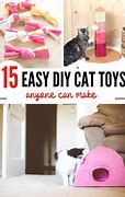 Image result for Easy DIY Cat Toys