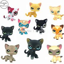 Image result for Lps Cat 2291