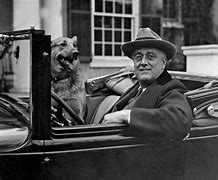 Image result for Great Depression FDR New Deal