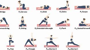 Image result for Yoga Postures