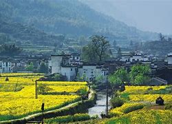 Image result for Wuyuan County Attractions