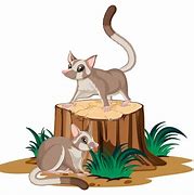 Image result for Imagem Gato Do Mato