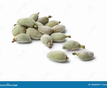 Image result for Raw Bitter Almonds