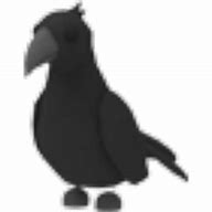 Image result for Adopt Me Crow