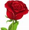 Image result for Flowers for You Clip Art