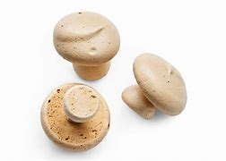 Image result for Meringue Mushrooms