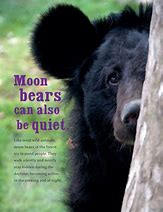 Image result for Moon Bear Books