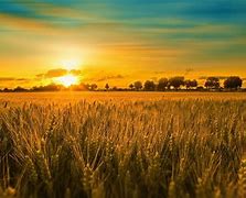 Image result for Free Desktop Wallpaper Summer Landscapes