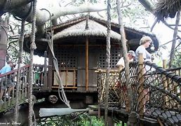 Image result for Swiss Family Robinson Treehouse Disney