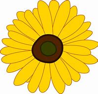 Image result for Sunflower Image Clip Art No Background