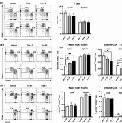 Image result for CD4 Liver