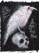 Image result for Albino Crow