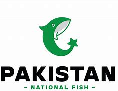 Image result for Akselafa Fish