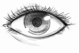 Image result for Best Eye Drawing