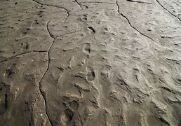 Image result for Footprint in Mud