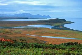 Image result for Russian Tundra Biome