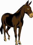 Image result for Mule Head Clip Art