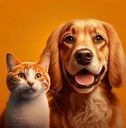 Image result for Smiling Cat and Dog Pictures