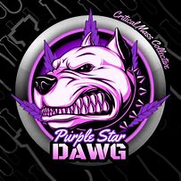 Image result for Purple Doge