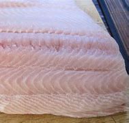 Image result for White Chinook Salmon