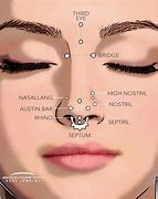 Image result for Septum Secundum