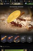 Image result for Ant Games Free