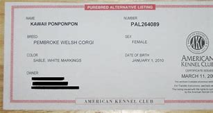 Image result for AKC DNA Certificate