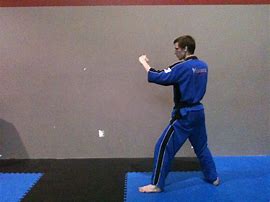 Image result for Front Kick Taekwondo