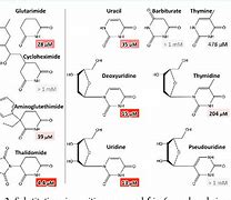 Image result for Cereblon Ligands Glue