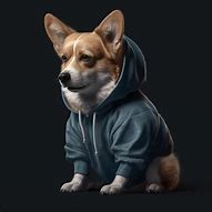 Image result for Corgi in Hoodie