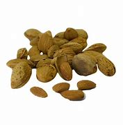 Image result for Mamra Almonds