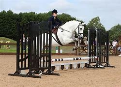 Image result for Side Saddle Show Jumping