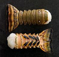 Image result for Lobster Tails