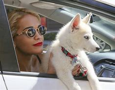 Image result for Rita Ora Dog