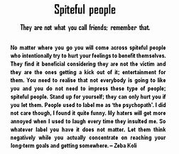 Image result for Spiteful People Quotes